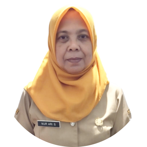NUR ARI SULISTYONINGSIH