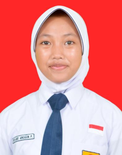 NYLAND ANGGUN PAMBUDI