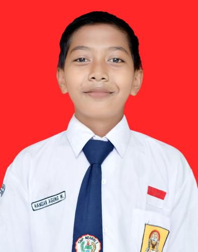 HAMDAN AGUNG WASISSO
