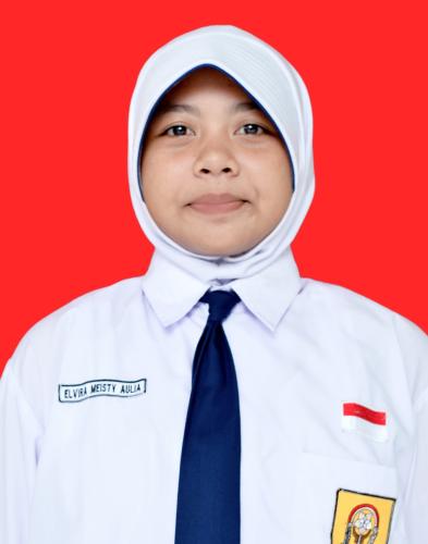 ELVIRA MEISTY AULIA