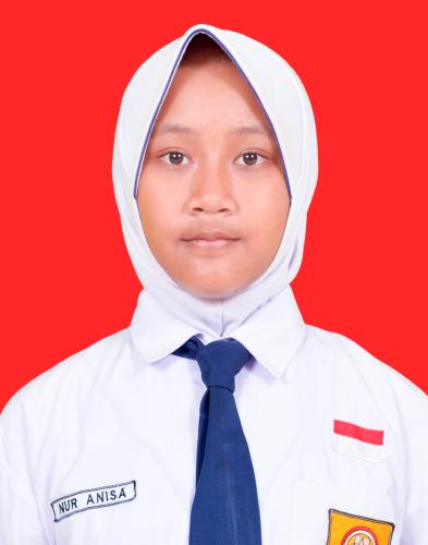 NUR ANISA