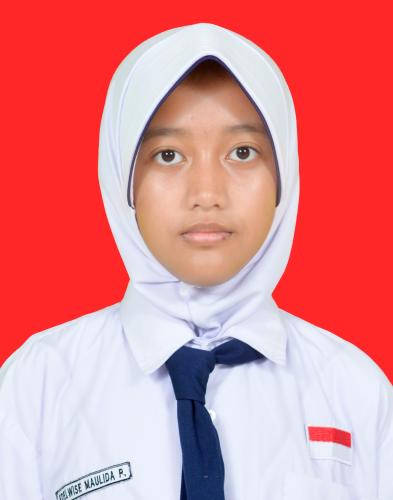 EDELWISE MAULIDA PARAMESTI