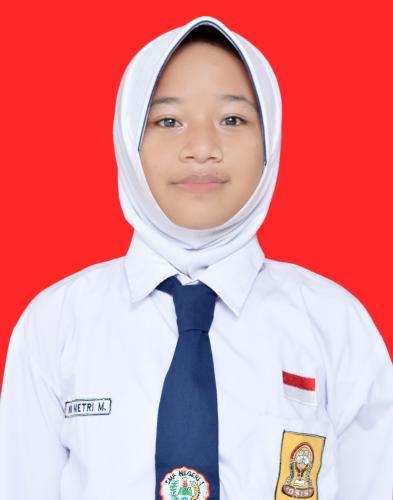 NINIT METRI MAHESWARI